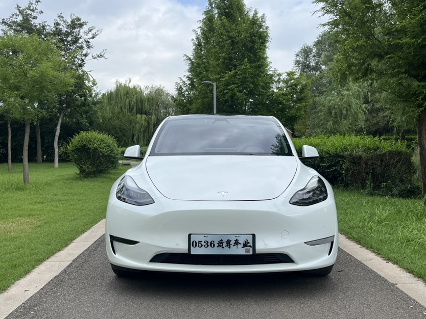 Tesla Model Y 2022 #2 Tesla Model Y 2022 car image #2