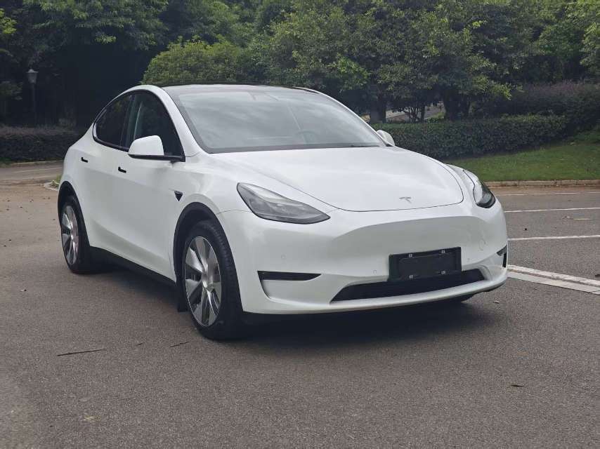 Tesla Model Y 2021 car image #3