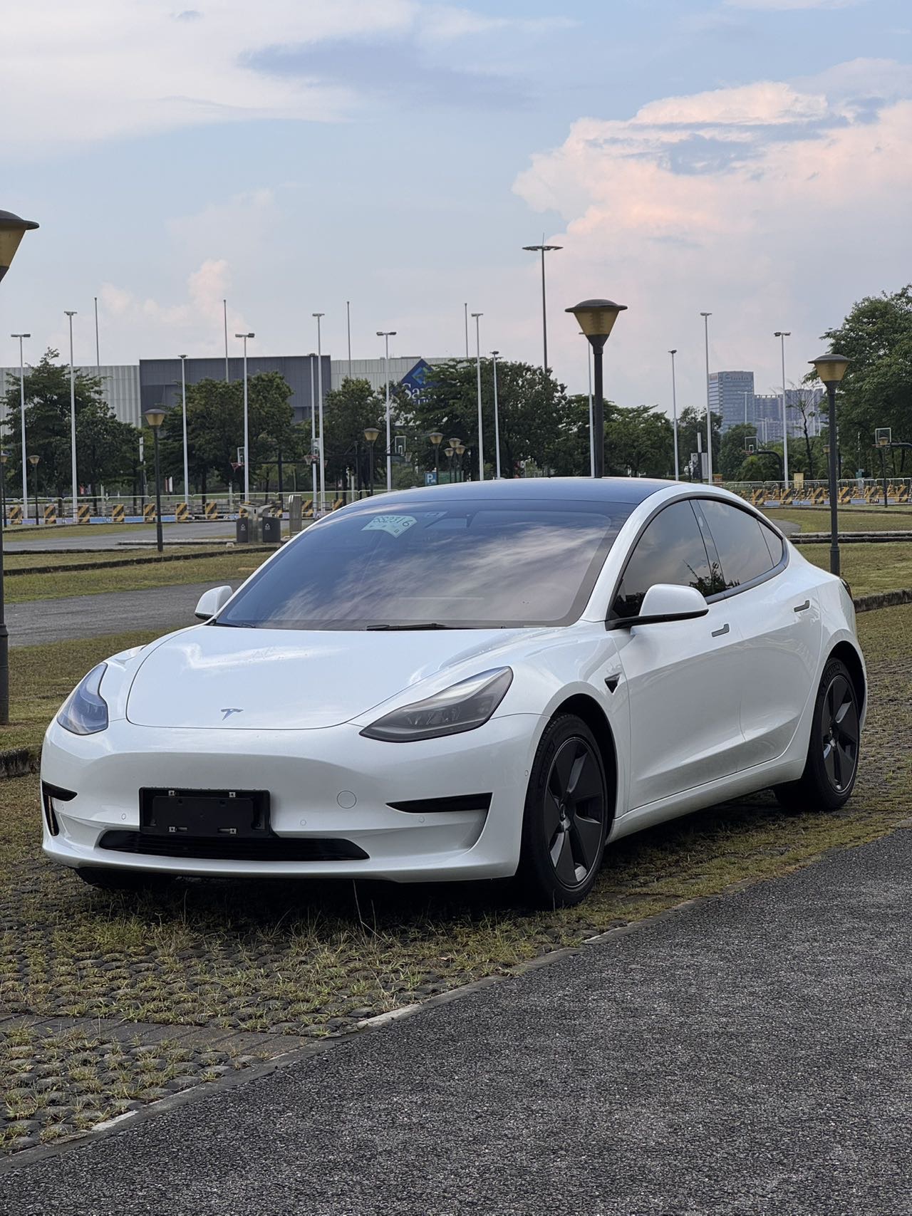 Tesla Model 3 2021 Tesla Model 3 2021 immagine di auto