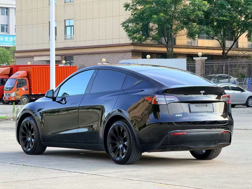 Tesla Model Y 2021 car image #9