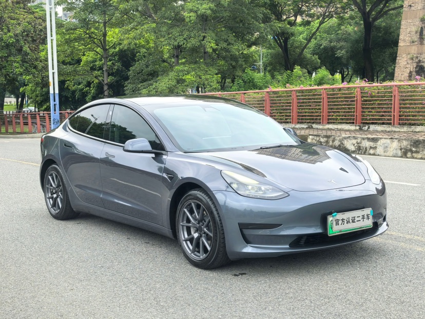 Tesla Model 3 2021 #3 Tesla Model 3 2021 car image #3
