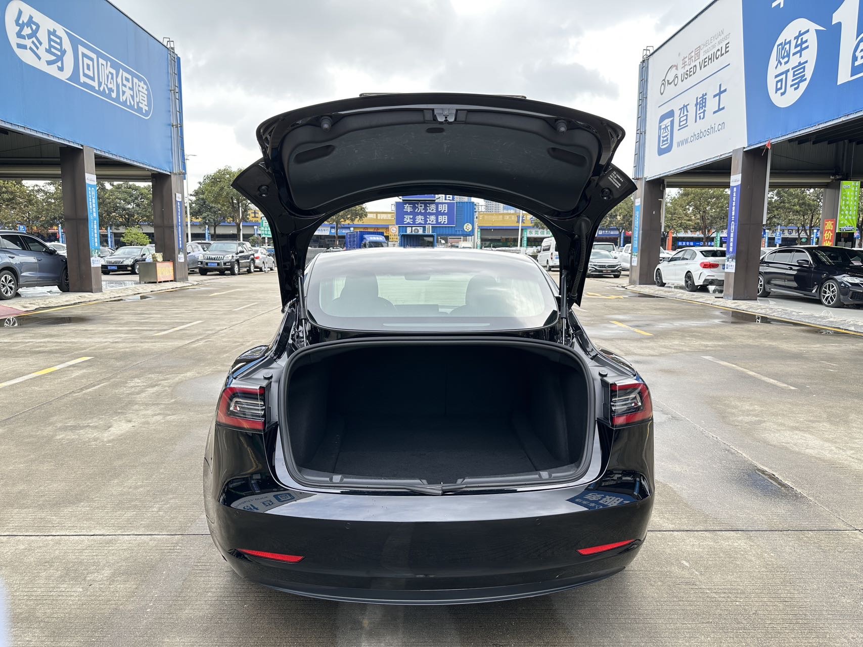 Tesla Model 3 2020 #12 Tesla Model 3 2020 car image #12