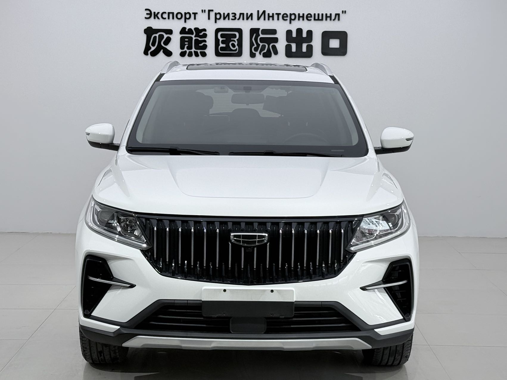 GEELY Vision X6 2021 #2 GEELY Vision X6 2021 car image #2