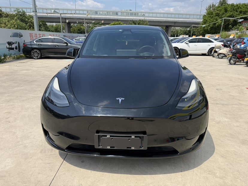 Tesla Model Y 2022 Tesla Model Y 2022 car image