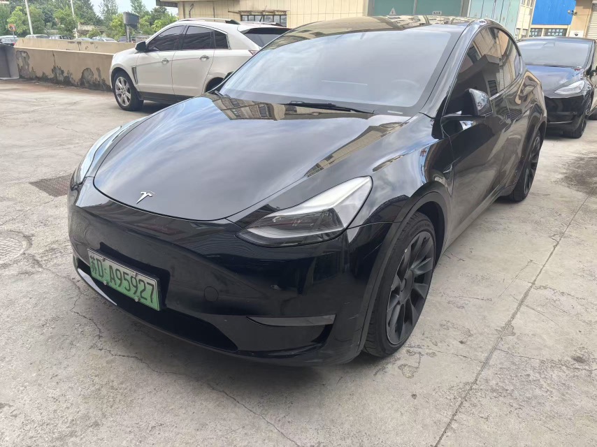 Tesla Model Y 2021 Tesla Model Y 2021 car image