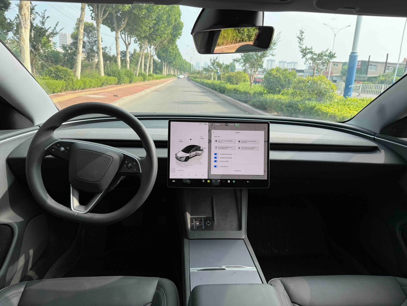 Tesla Model 3 2025 car image #6