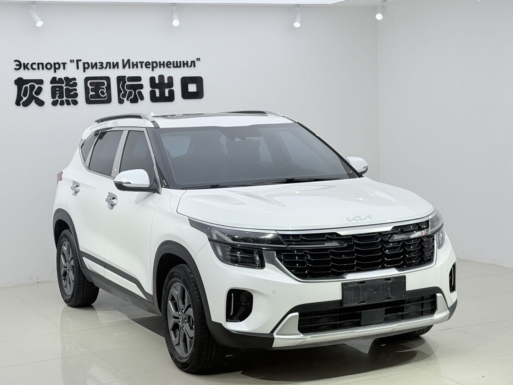 起亚 赛图斯 2023 汽车图片 #3