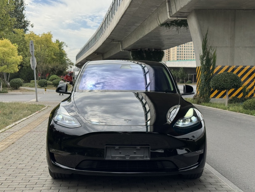Tesla Model Y 2023 car image #2
