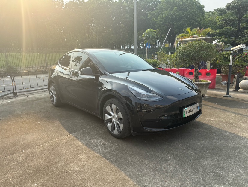 Tesla Model Y 2022 immagine di auto #3