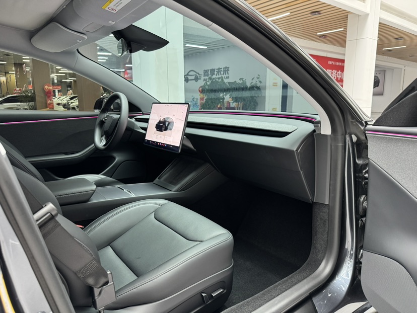 Tesla Model 3 2025 car image #15