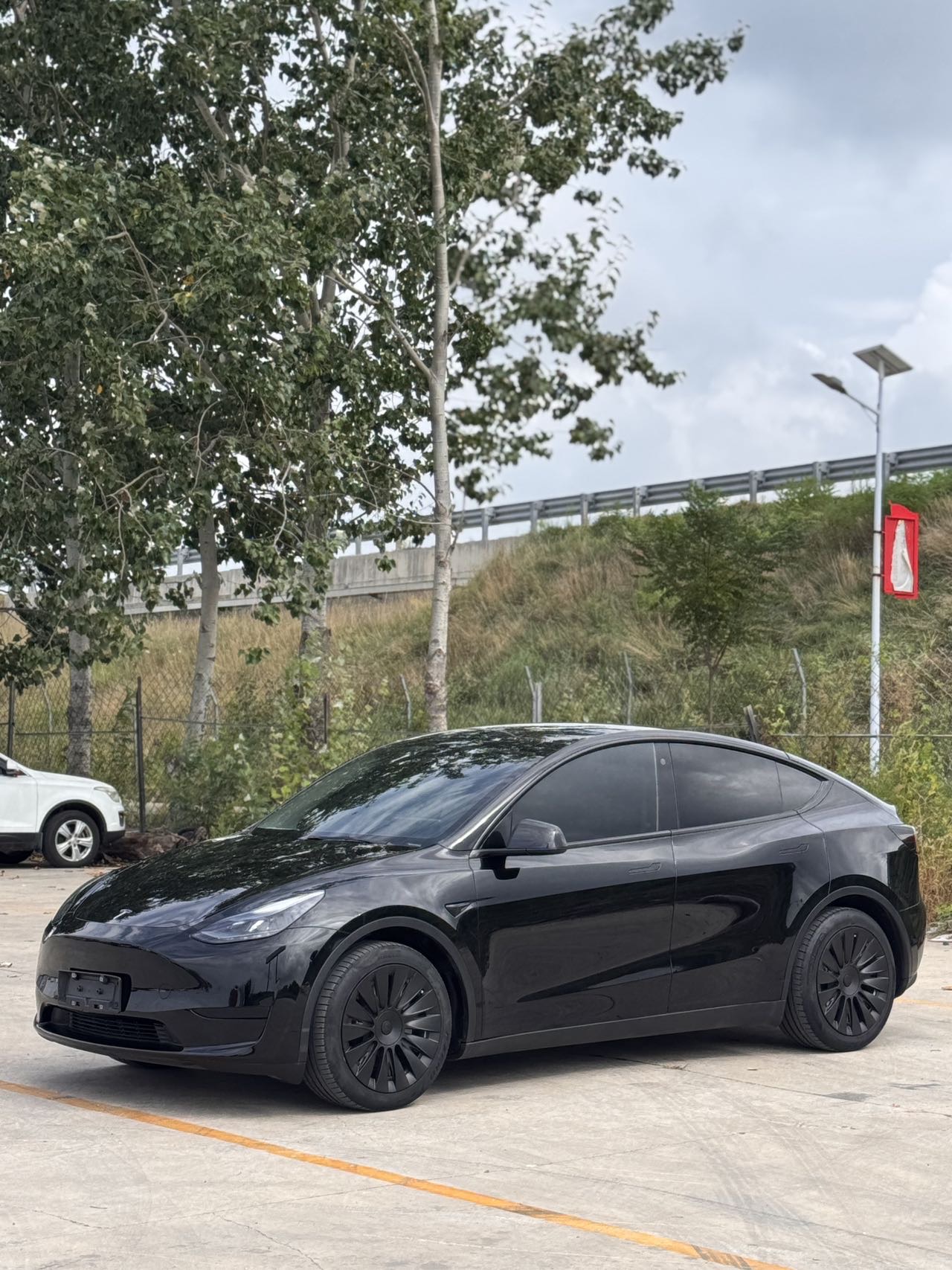 Tesla Model Y 2022 immagine di auto 