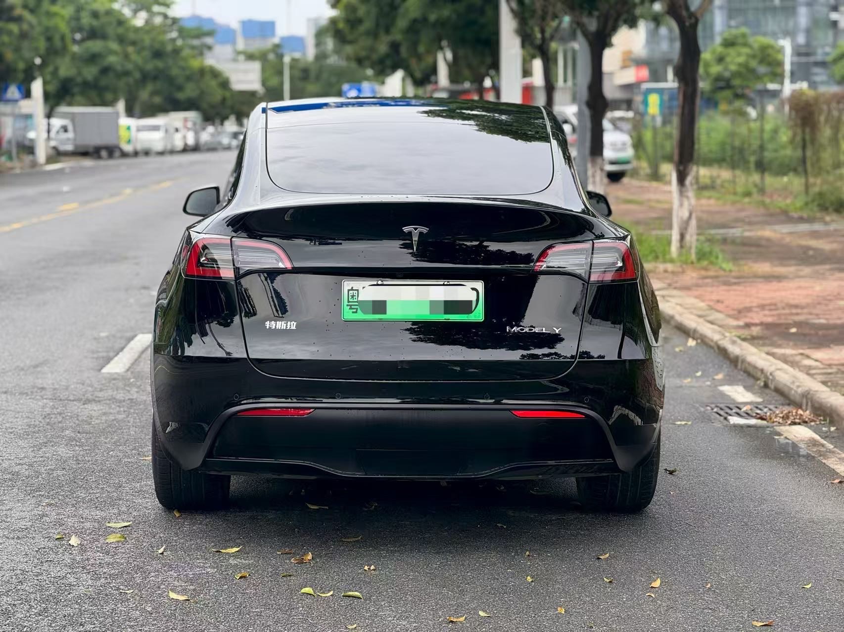 Tesla Model Y 2021 #9 Tesla Model Y 2021 car image #9