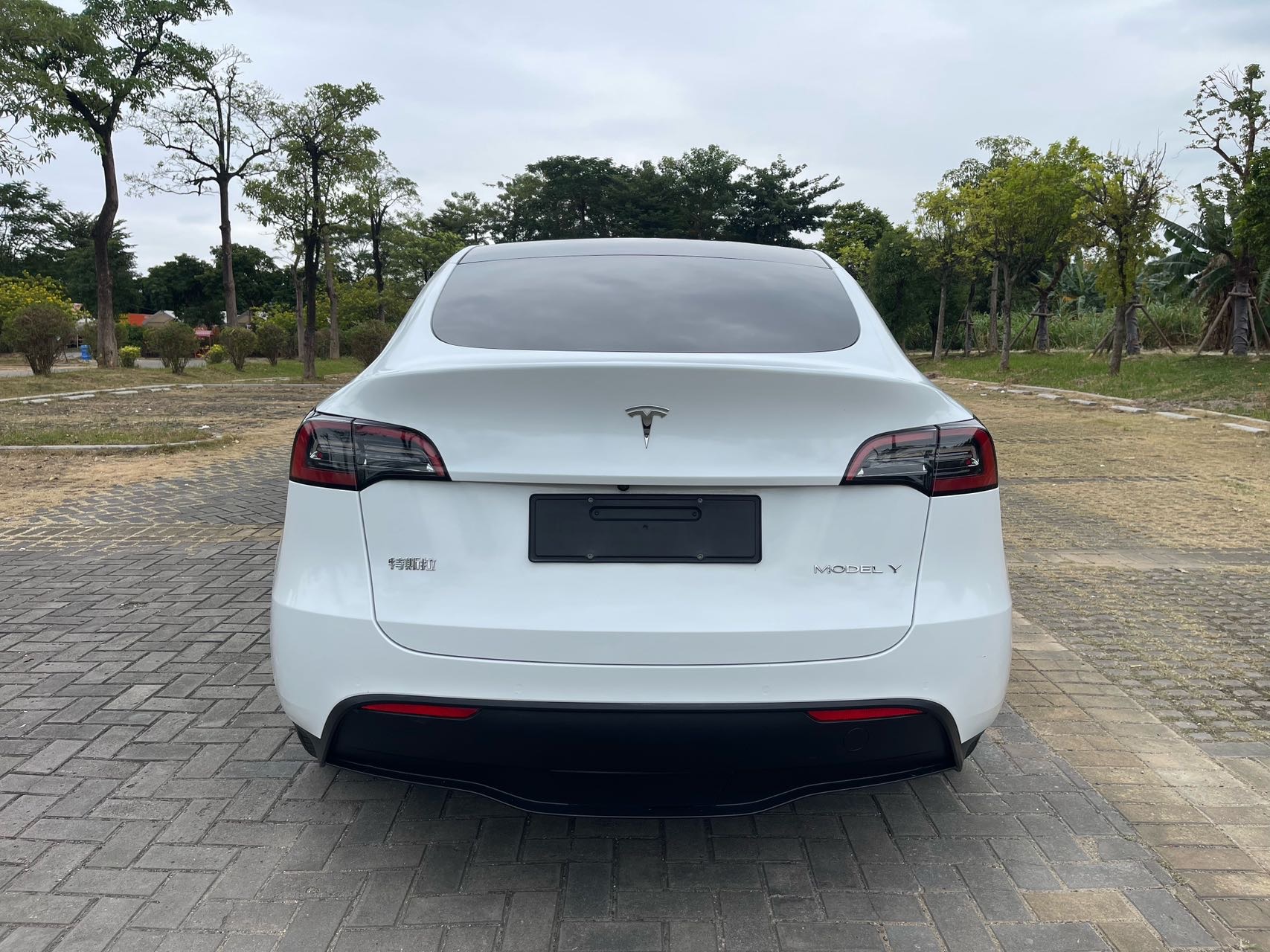 Tesla Model Y 2022 #13 Tesla Model Y 2022 car image #13