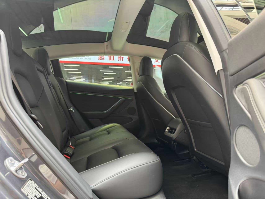 Tesla Model 3 2021 #22 Tesla Model 3 2021 car image #22