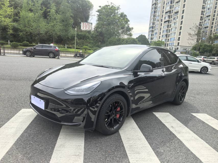 Tesla Model Y 2022 Tesla Model Y 2022 car image