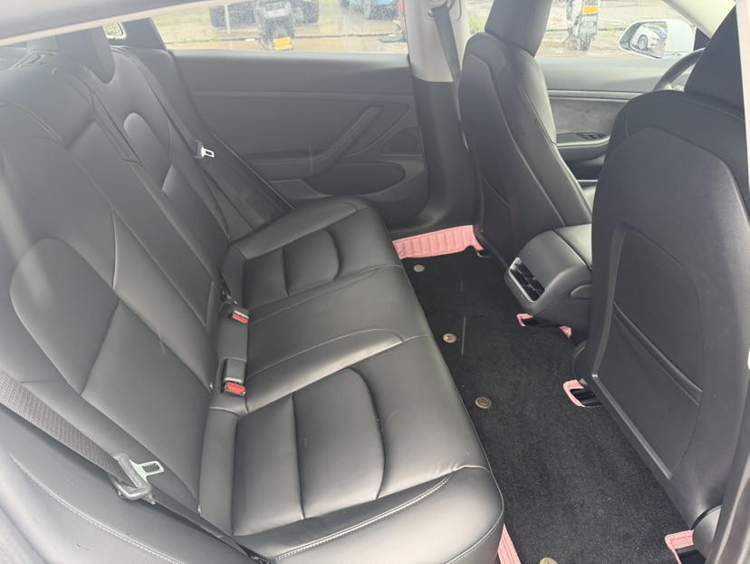 Tesla Model 3 2020 immagine di auto #9