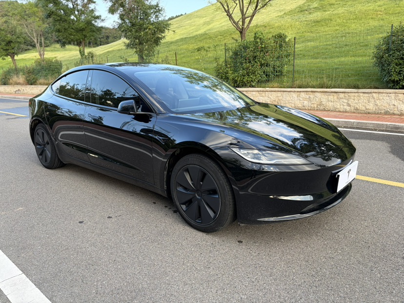 Tesla Model 3 2023 #3 Tesla Model 3 2023 car image #3