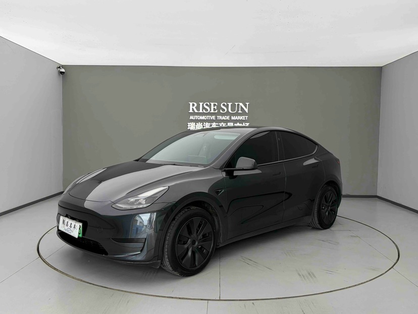 Tesla Model Y 2024 car image 