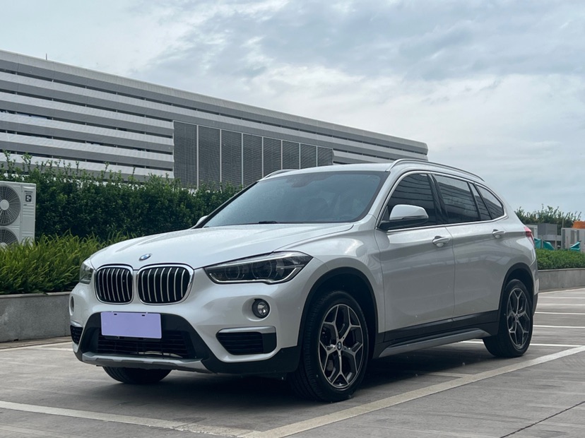 BMW X1 2019 car image 
