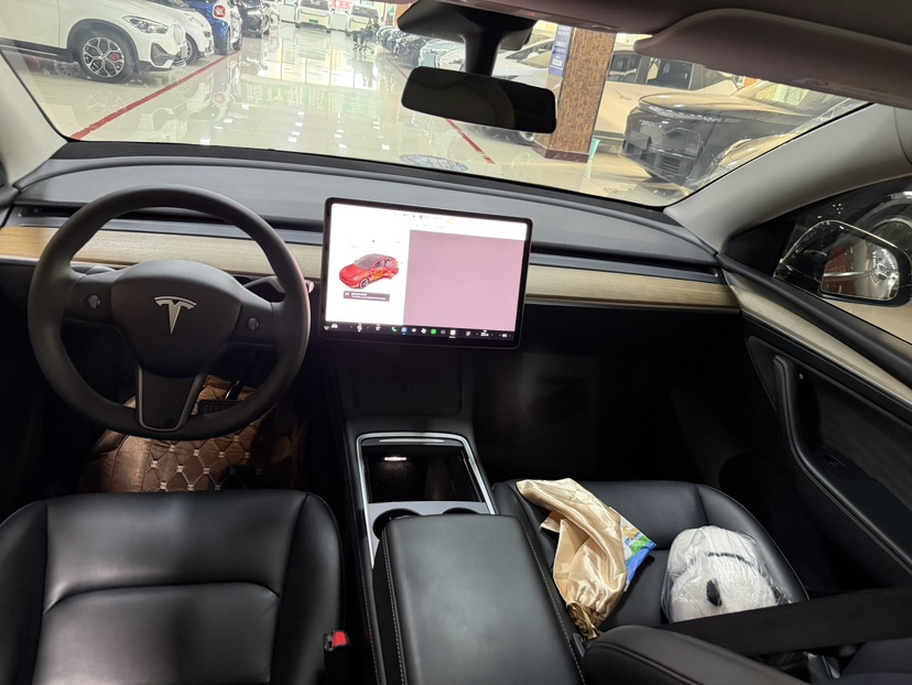 Tesla Model Y 2021 #6 Tesla Model Y 2021 car image #6
