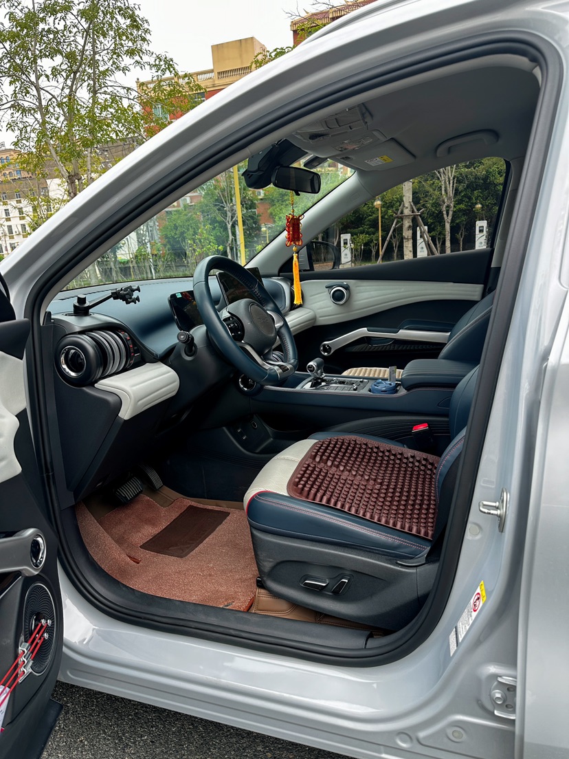 BYD Yuan Plus 2023 car image #6