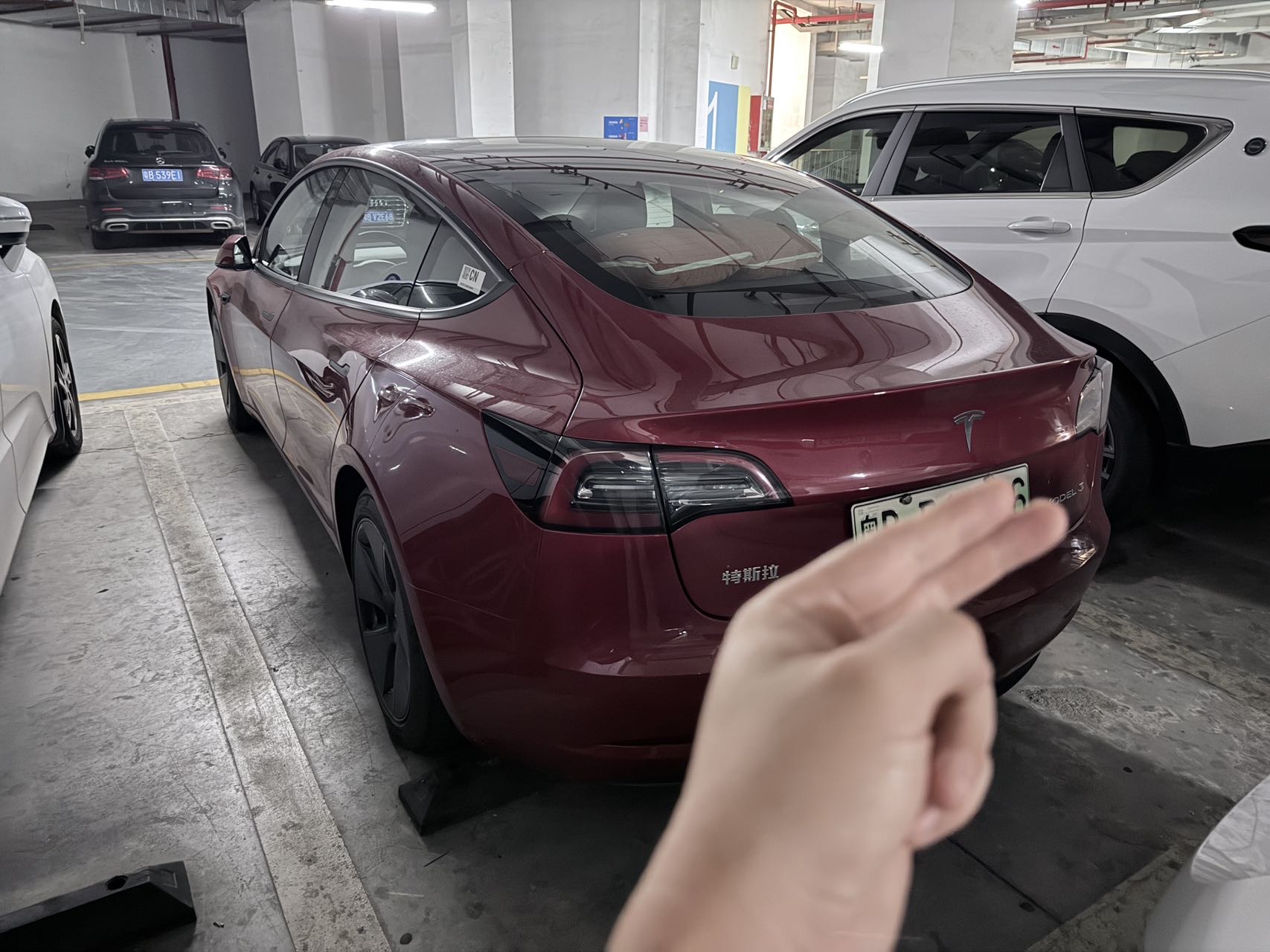 Tesla Model 3 2021 #9 Tesla Model 3 2021 car image #9