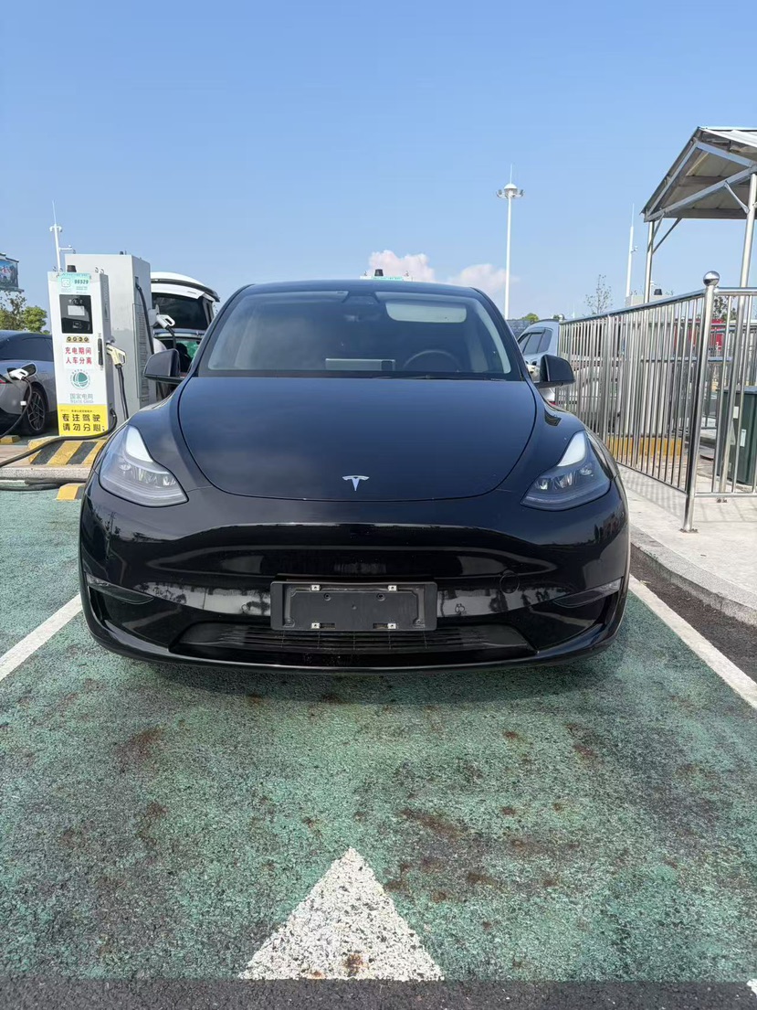 Tesla Model Y 2021 Tesla Model Y 2021 car image