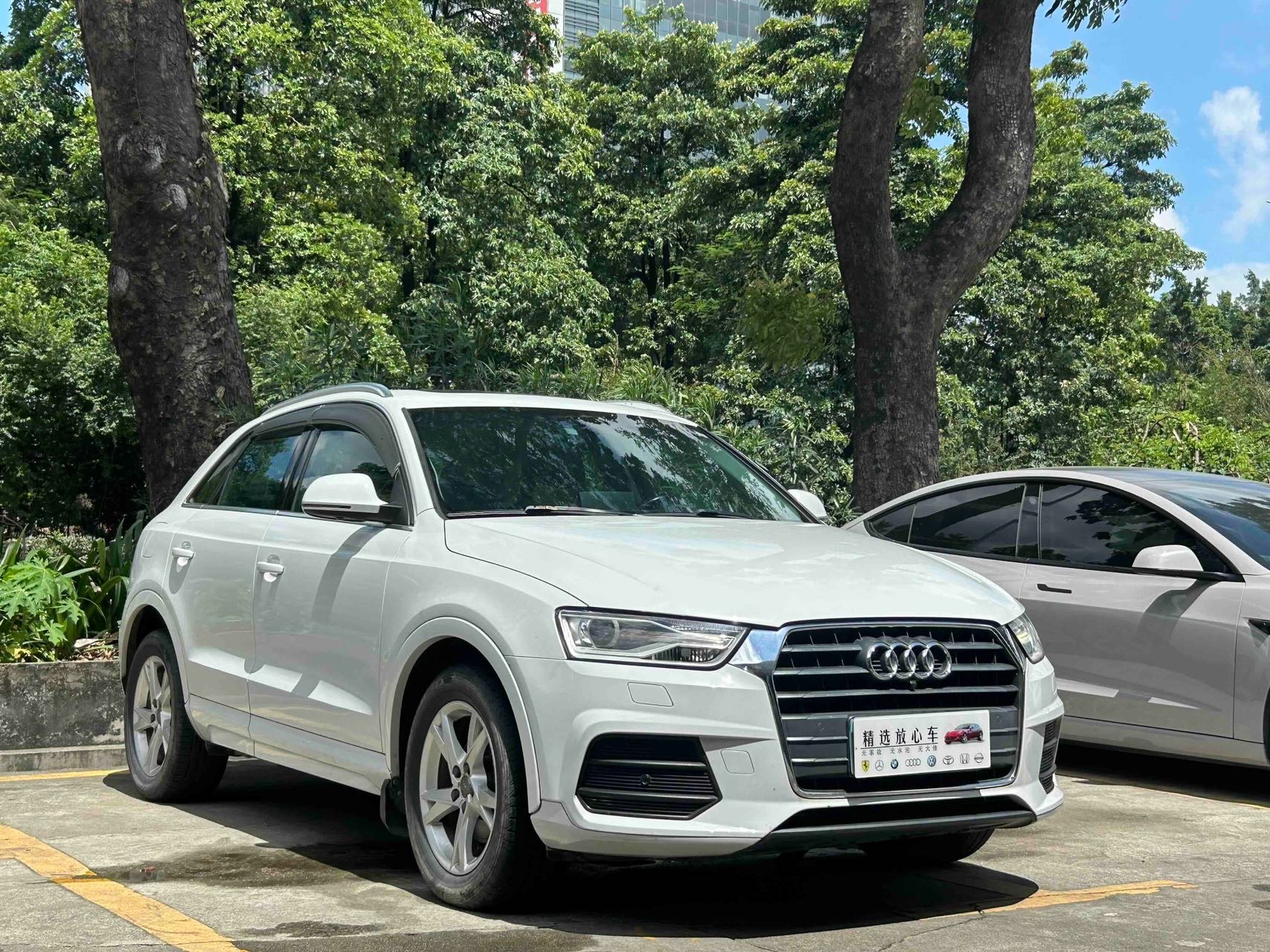 Audi Q3 2017 immagine di auto #3