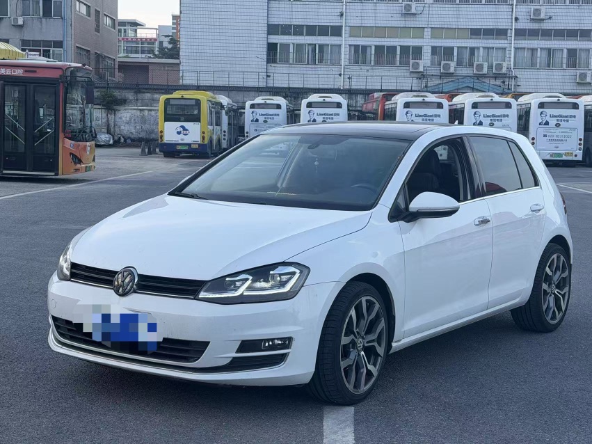Volkswagen Golf 2014 car image 