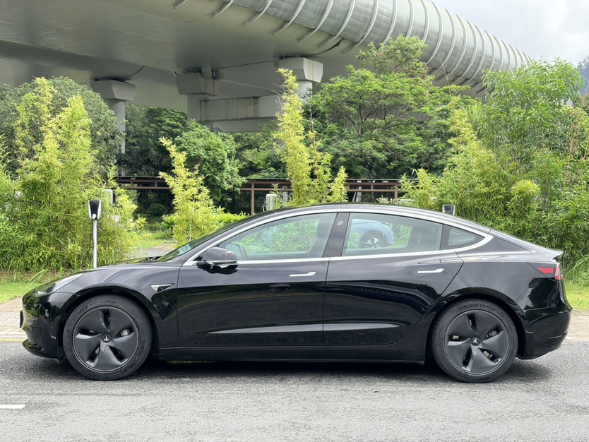 Tesla Model 3 2020 car image #5