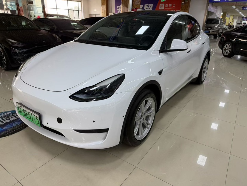 Tesla Model Y 2021 car image 