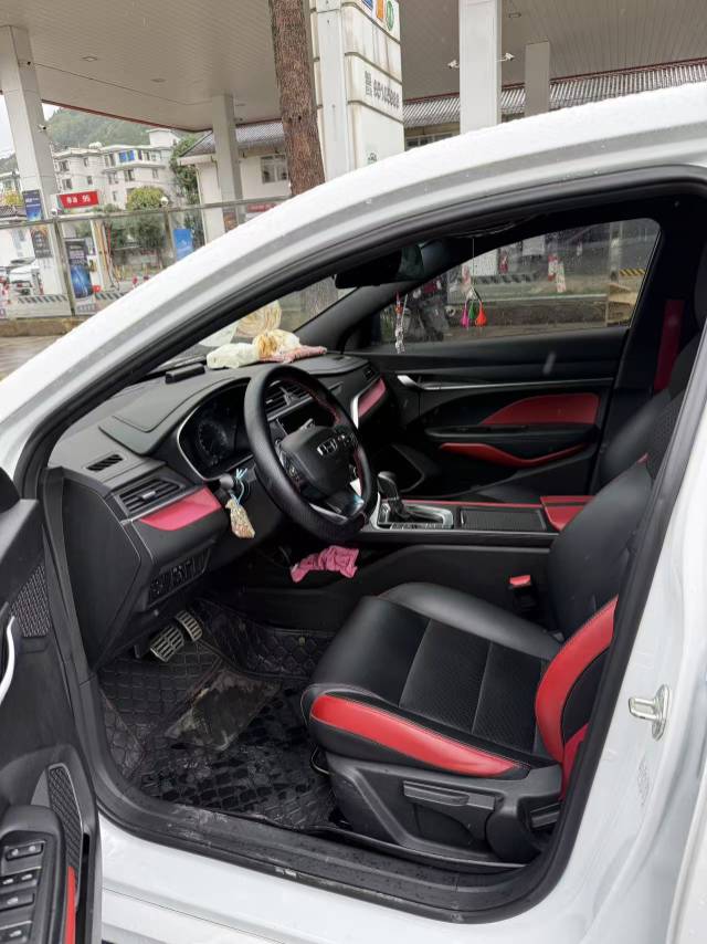 GEELY Binray 2021 #5 GEELY Binray 2021 car image #5
