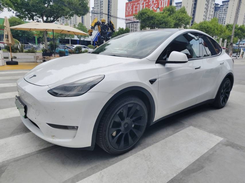 Tesla Model Y 2021 car image 
