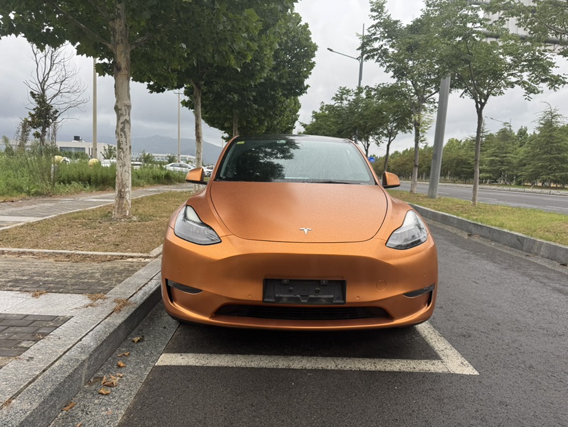 Tesla Model Y 2021 #2 Tesla Model Y 2021 car image #2