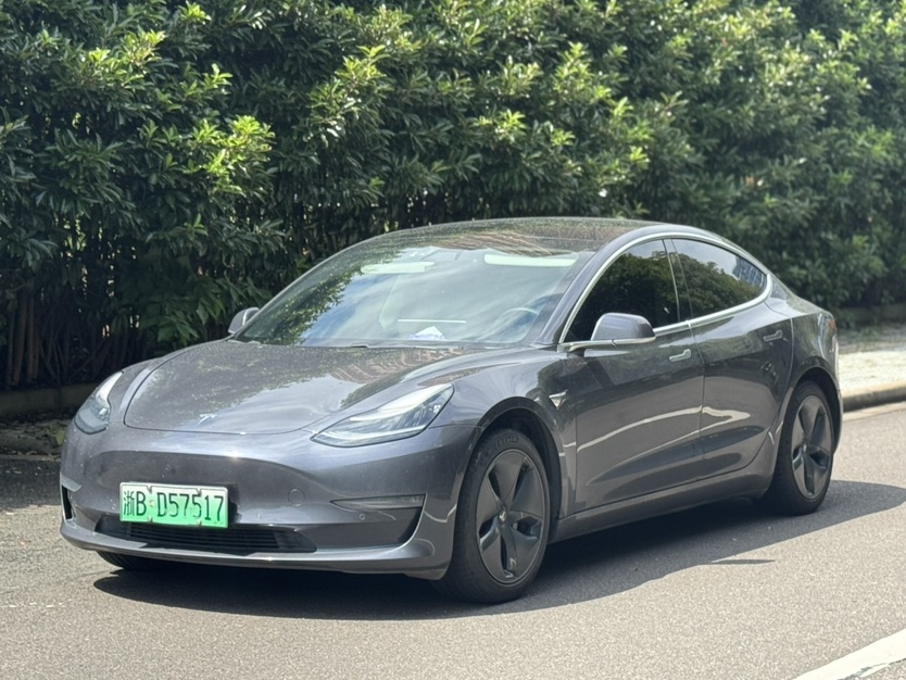 Tesla Model 3 2020 изображение автомобиля #3
