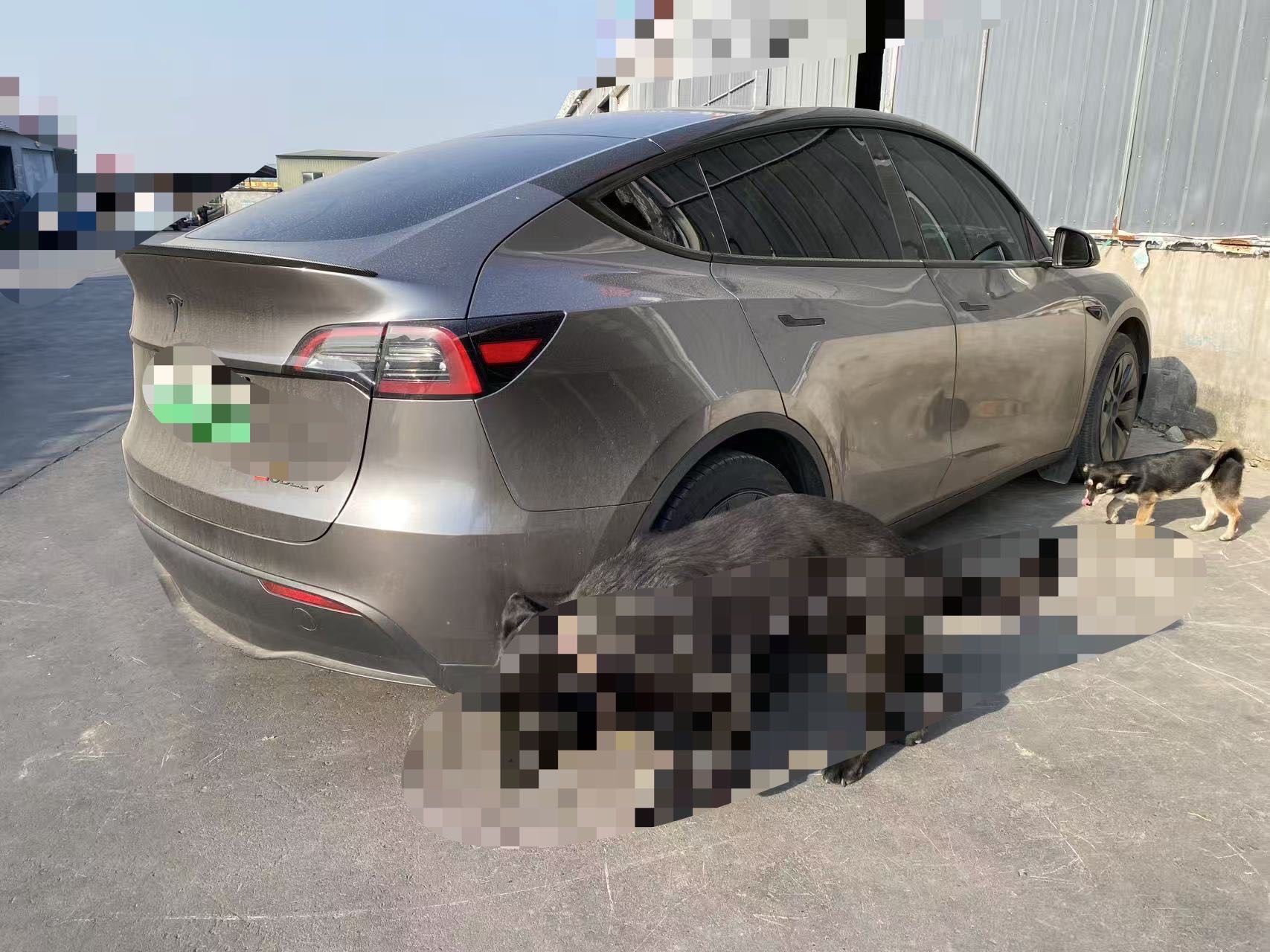 特斯拉 Model Y 2023 汽车图片 #5