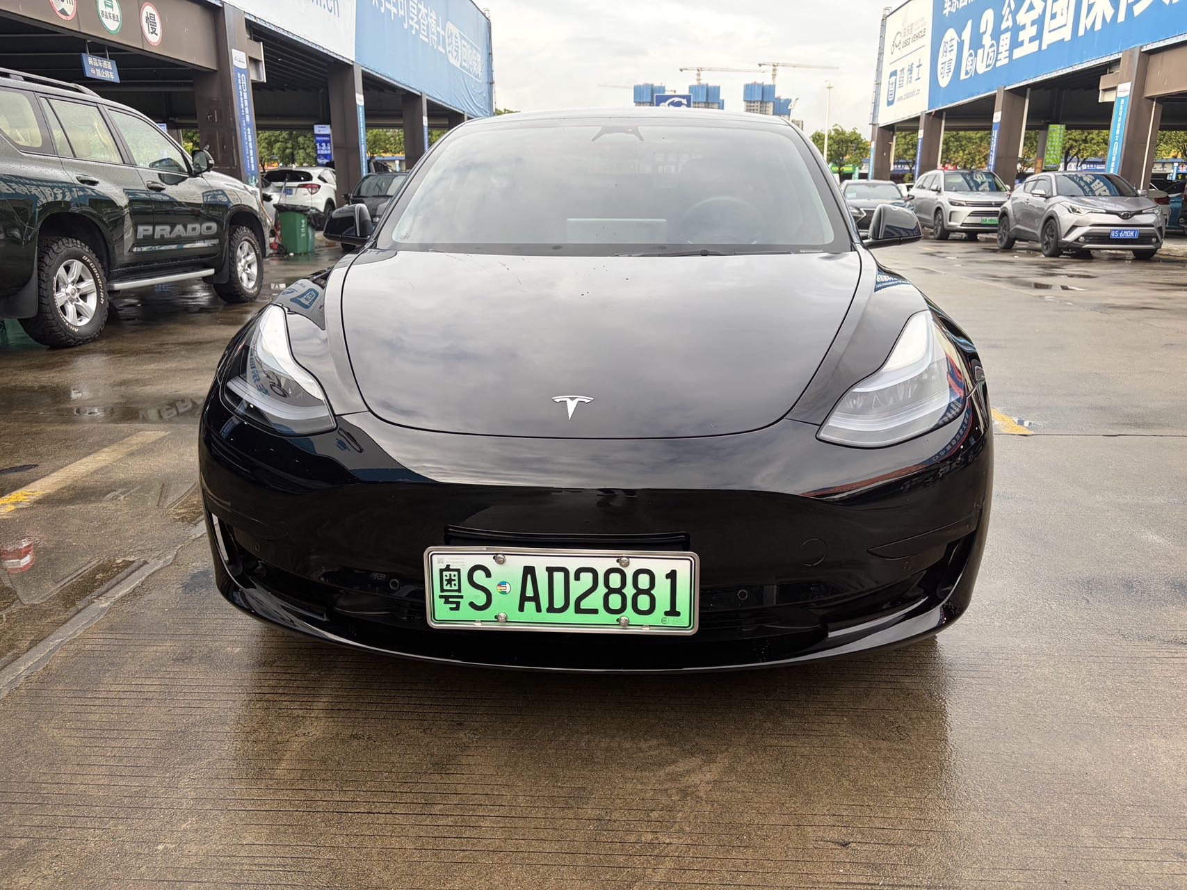Tesla Model 3 2023 immagine di auto #2