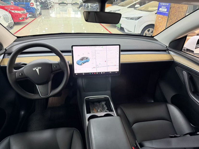 Tesla Model Y 2021 car image #6