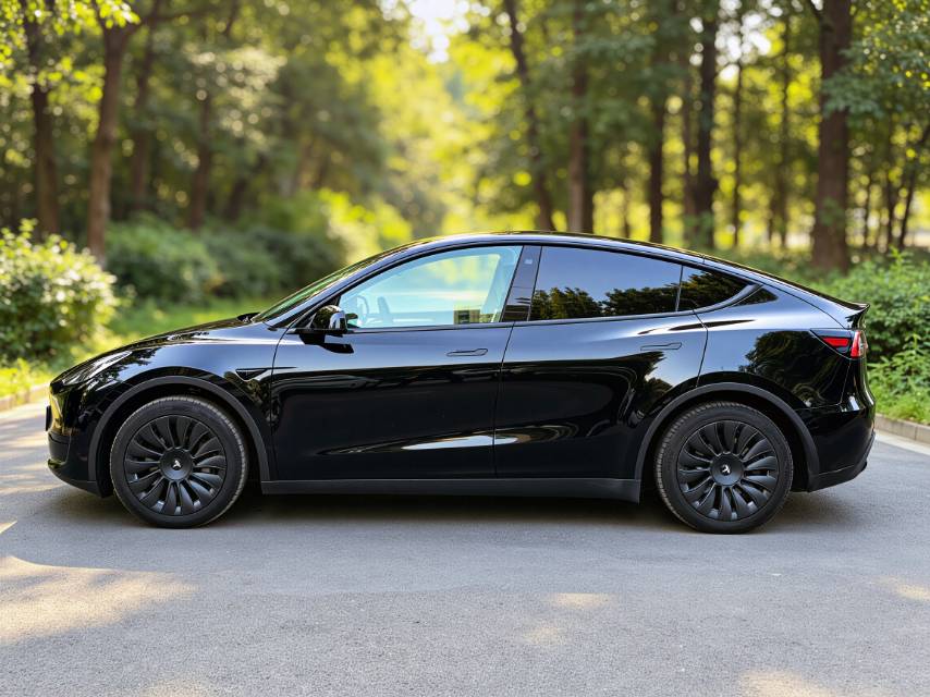 Tesla Model Y 2023 car image #3