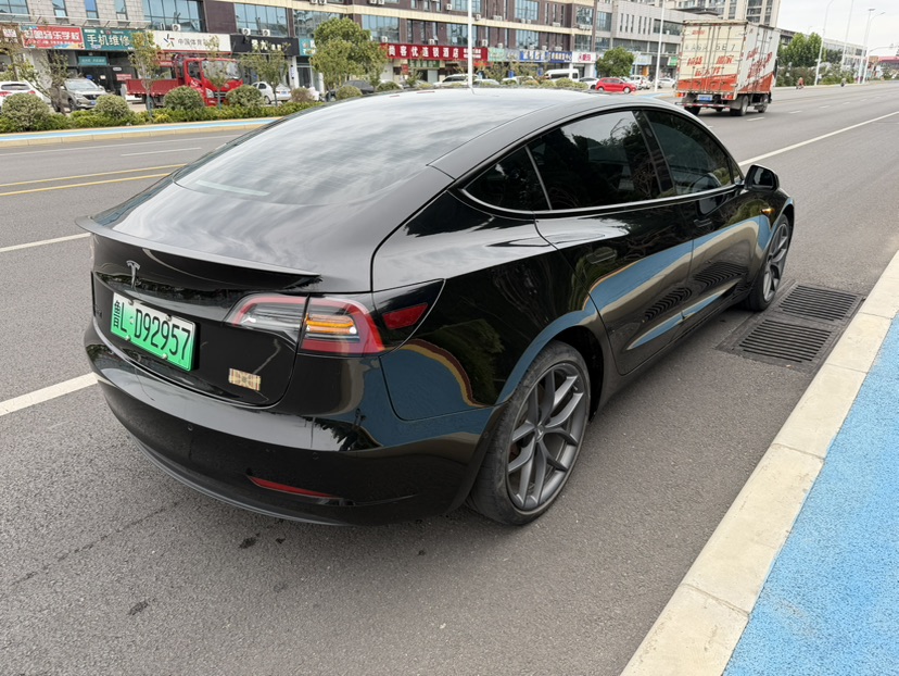 Tesla Model 3 2022 car image #8