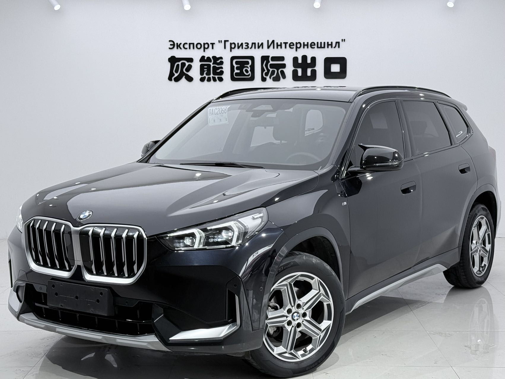 BMW X1 2024 car image 