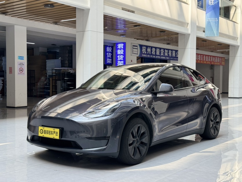 Tesla Model Y 2023 car image 