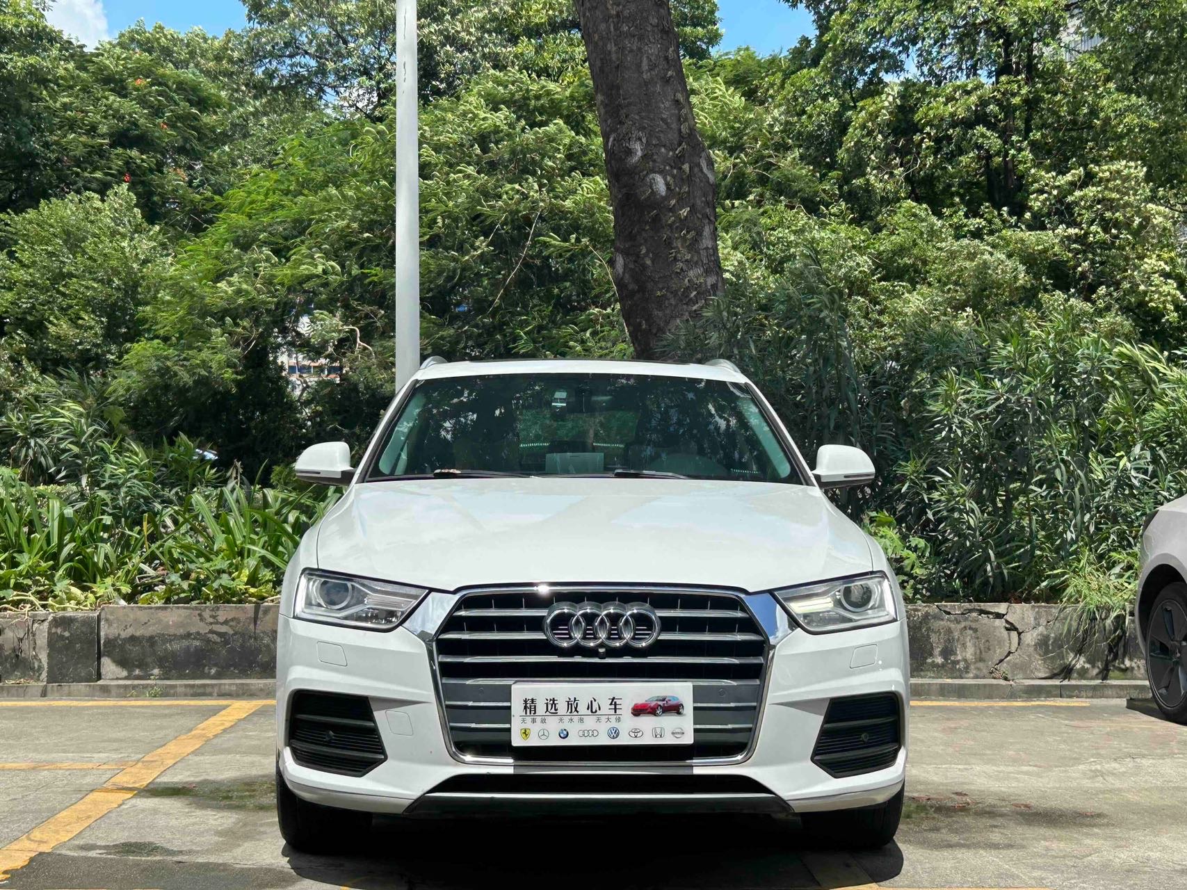 Audi Q3 2017 immagine di auto #2