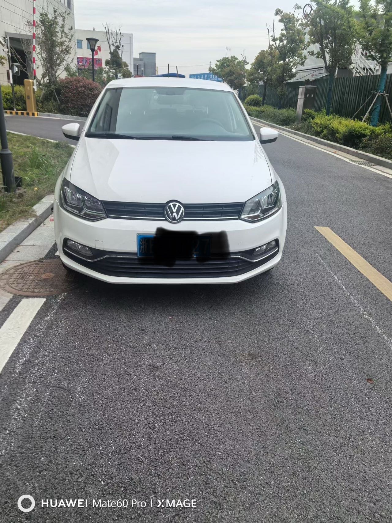 Volkswagen Polo 2015 Volkswagen Polo 2015 car image