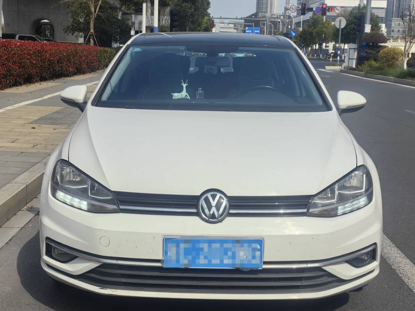 Volkswagen Golf 2019 #2 Volkswagen Golf 2019 car image #2
