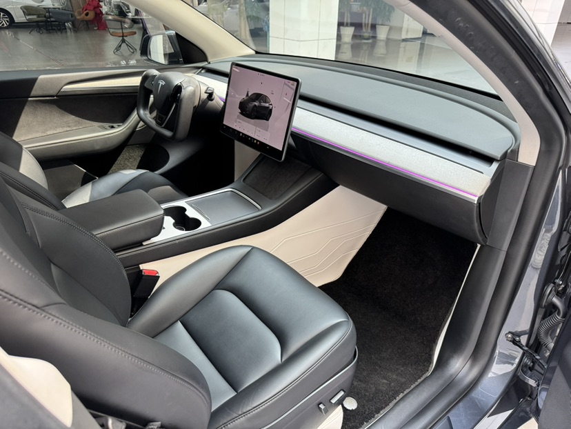 Tesla Model Y 2023 car image #21