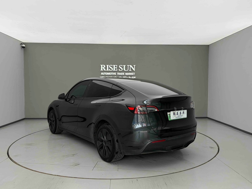 Tesla Model Y 2024 car image #8