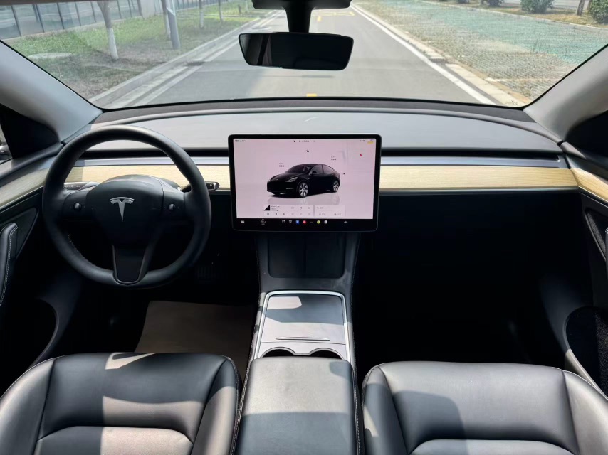 Tesla Model Y 2023 car image #8
