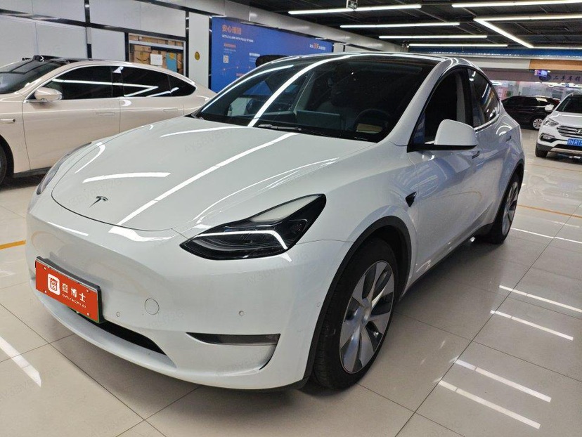 Tesla Model Y 2022 immagine di auto 