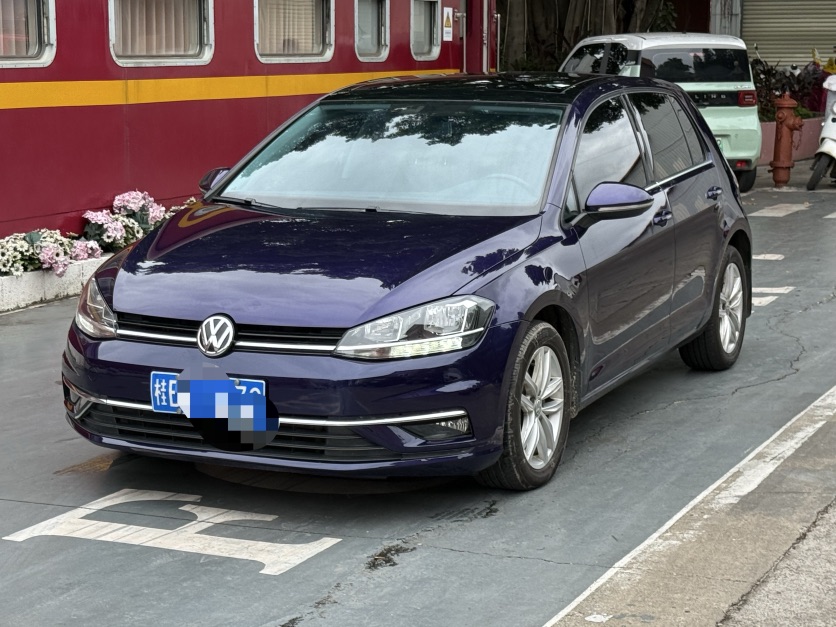 Volkswagen Golf 2019 car image 